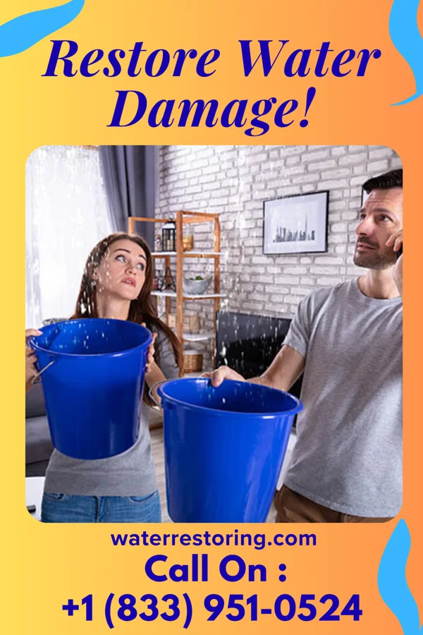 water restoration Sterling Damage Recovery & Sons Rock Falls